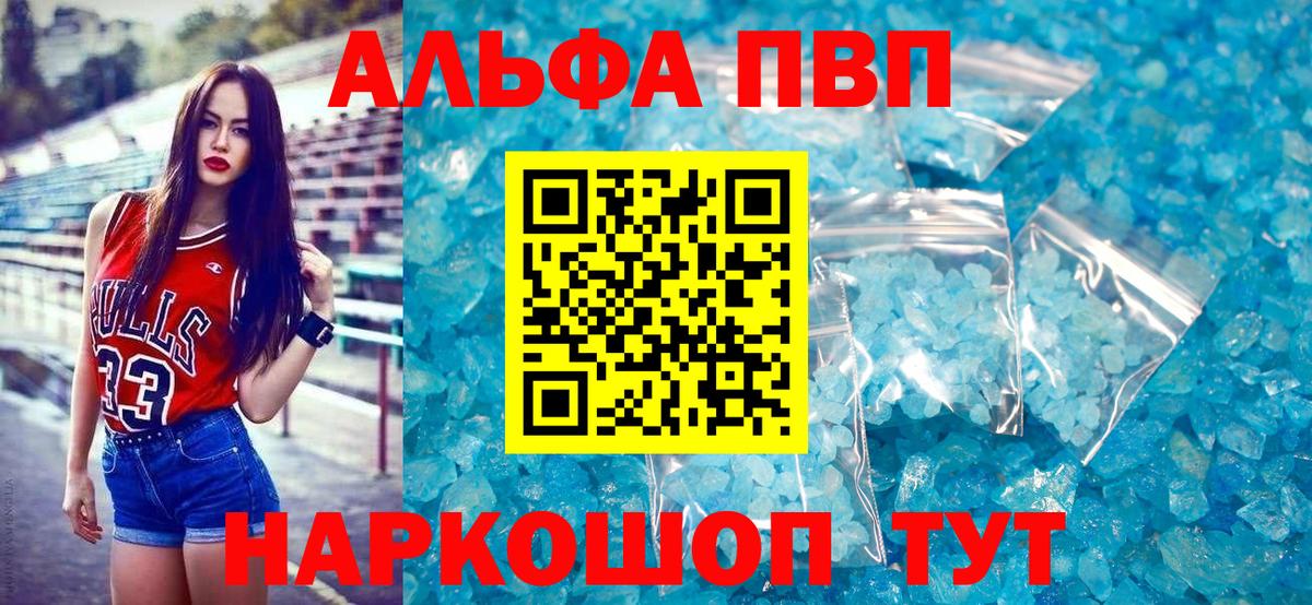 A PVP СК КРИС Алейск