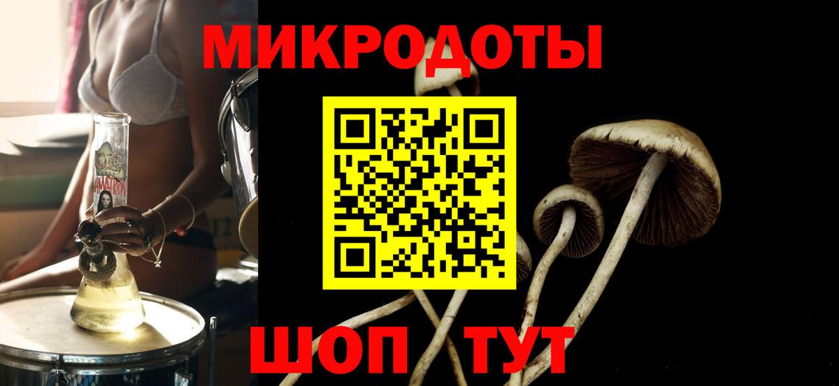 Алейск  Галлюциногенные грибы ЛСД  Галлюциногенные грибы Psilocybe  Вход с VPN 